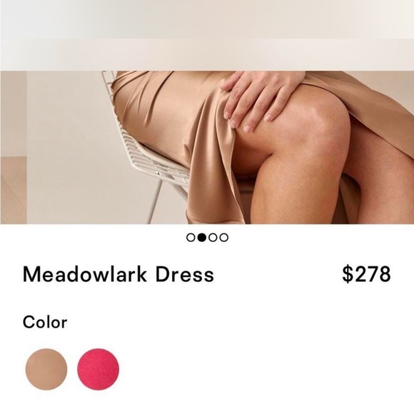 reformation meadowlark dress - Picture 3 of 6